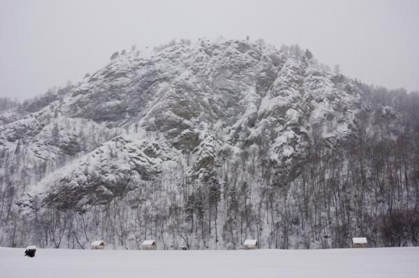 Приамурский