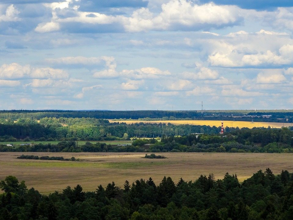 Село кузьминское ока