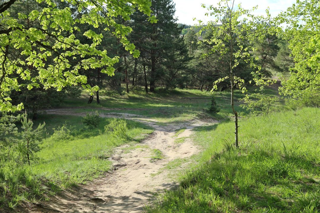 Гостиницы поселка Торбеево, Республика Мордовия — Лучшие цены 2024 на Отели