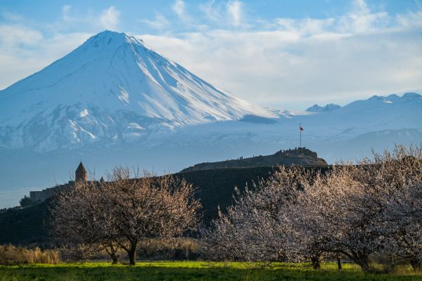 Гостиницы Мачары