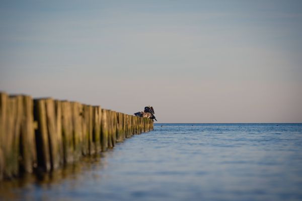 Светлогорск