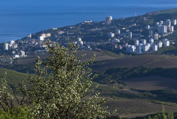 Алушта