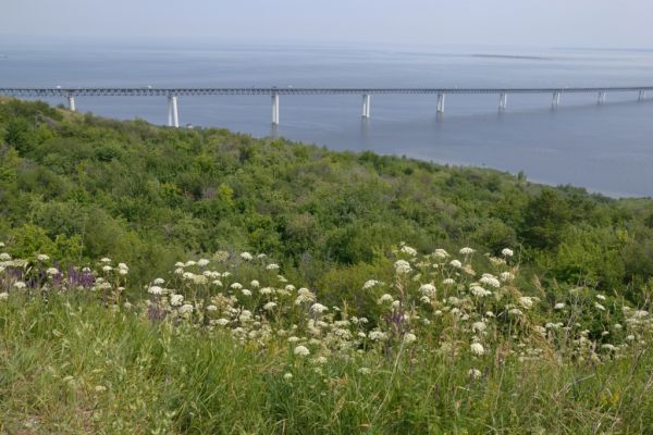 Мост через Волгу, Ульяновск