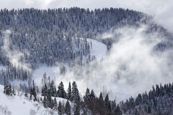 Роза Хутор