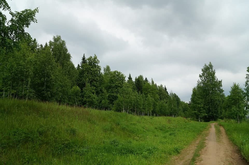 Деревня дроздово ленинский район фото