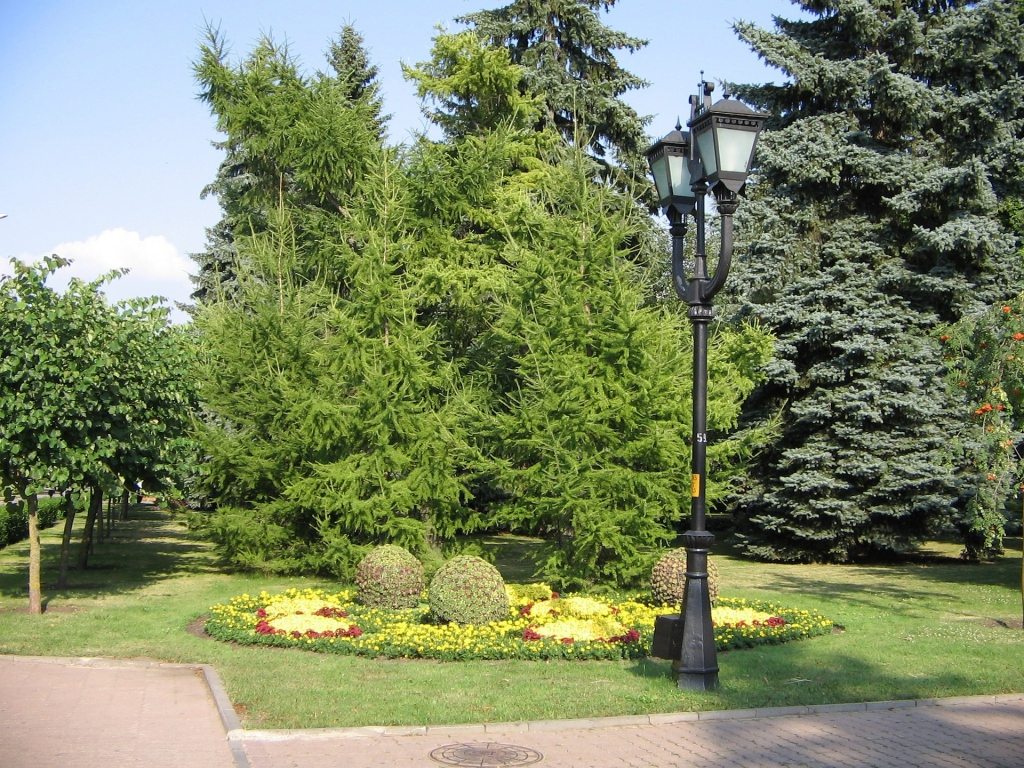 Центральный парк Ставрополя