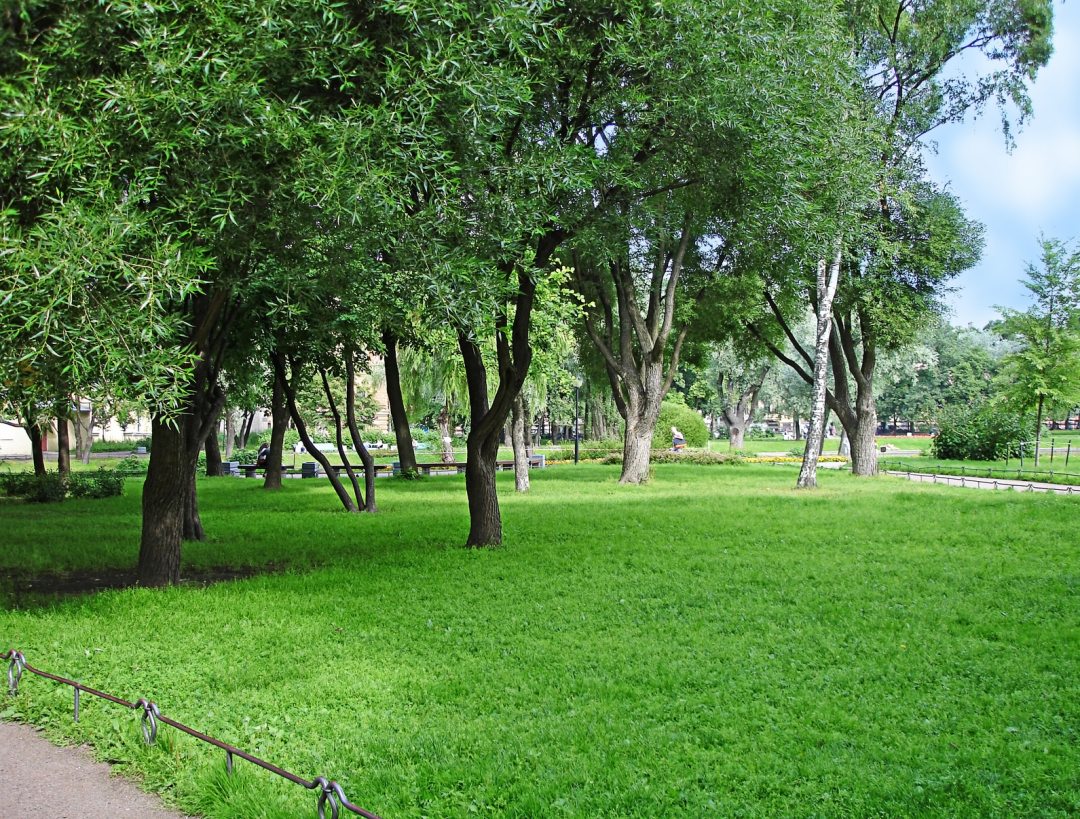 Алупкинский парк