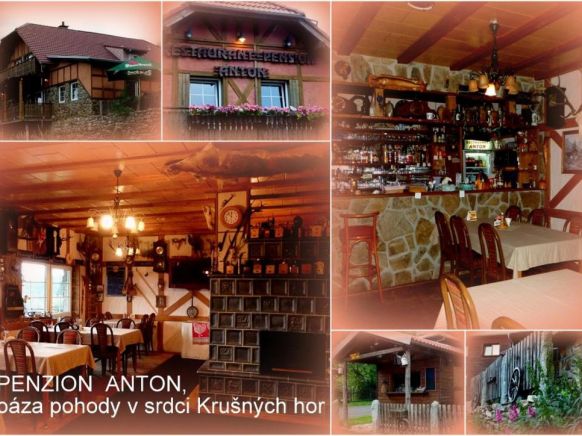Отель Restaurant Pension-Anton, Яхимов