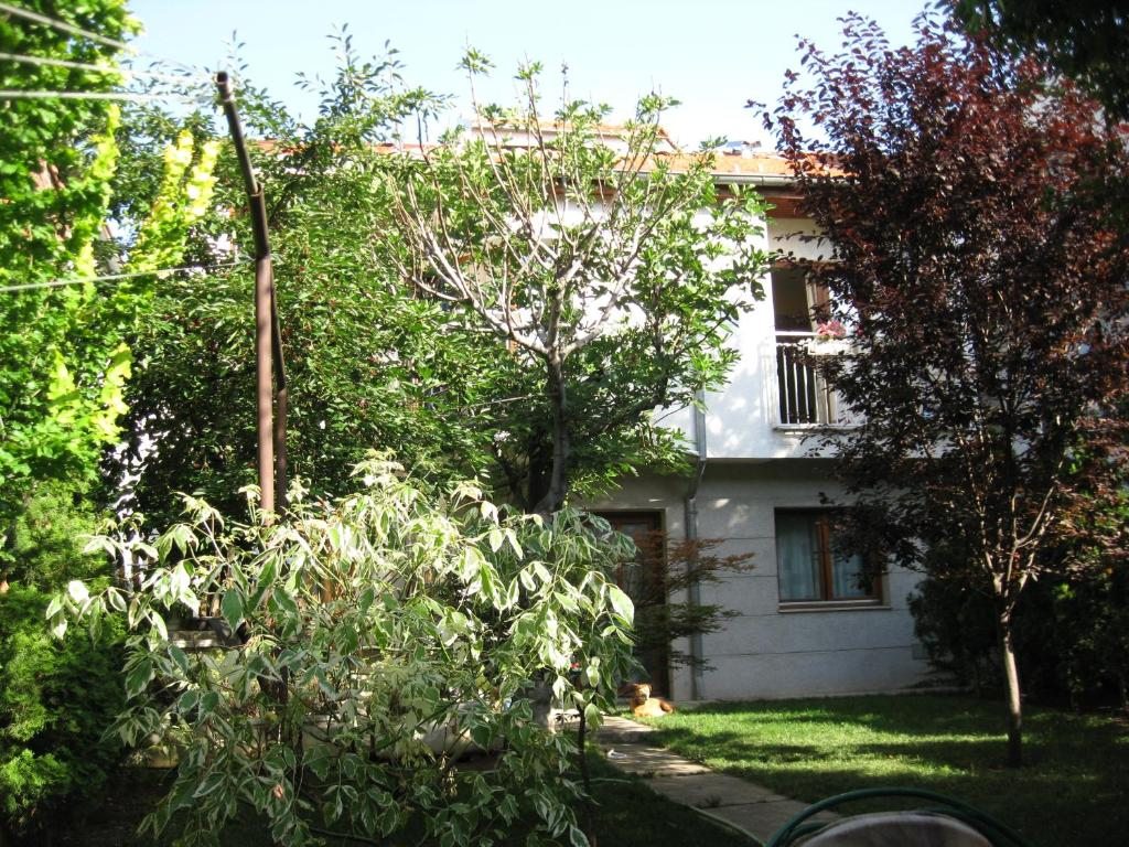 Hostel Oasis, Белград