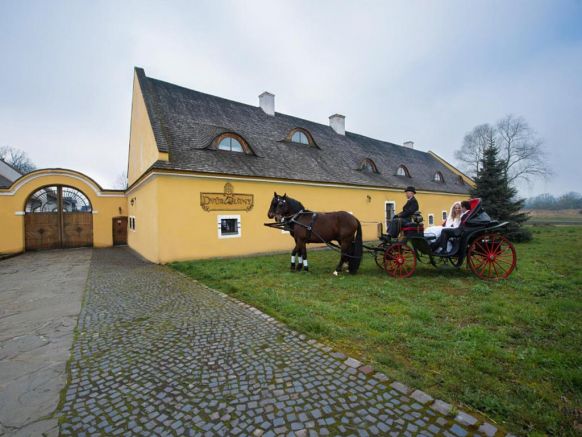 Отель Dvůr Olšiny -Hotel and Horse-riding