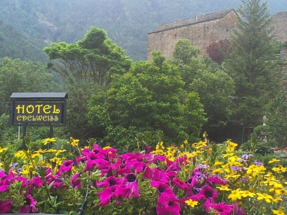 Edelweiss Hotel