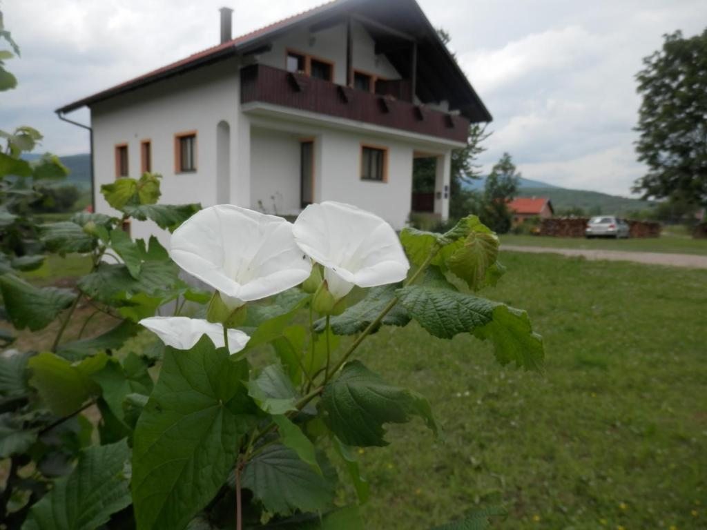 Guesthouse Matija, Ириновац