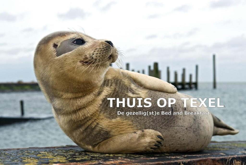 Thuis op Texel, Ден-Бург