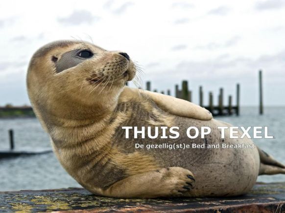 Thuis op Texel, Ден-Бург