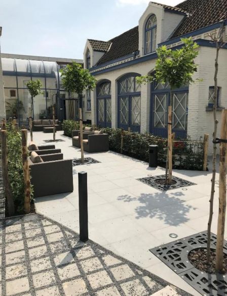 Golden Tree Hotel