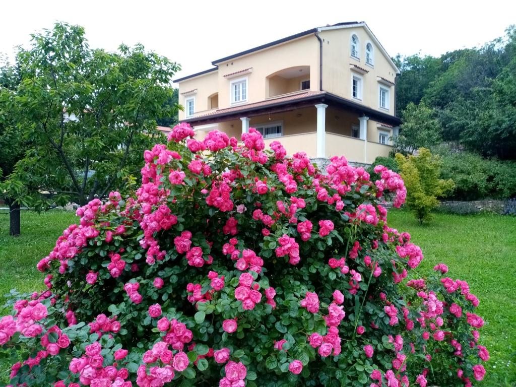 Guesthouse Villa AnnaDora, Брсеч