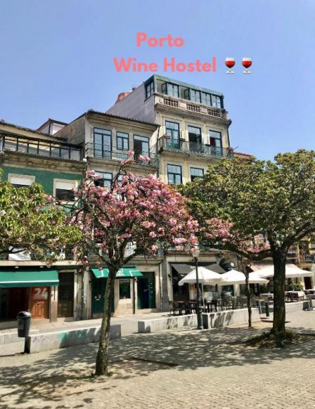 Porto Wine Hostel