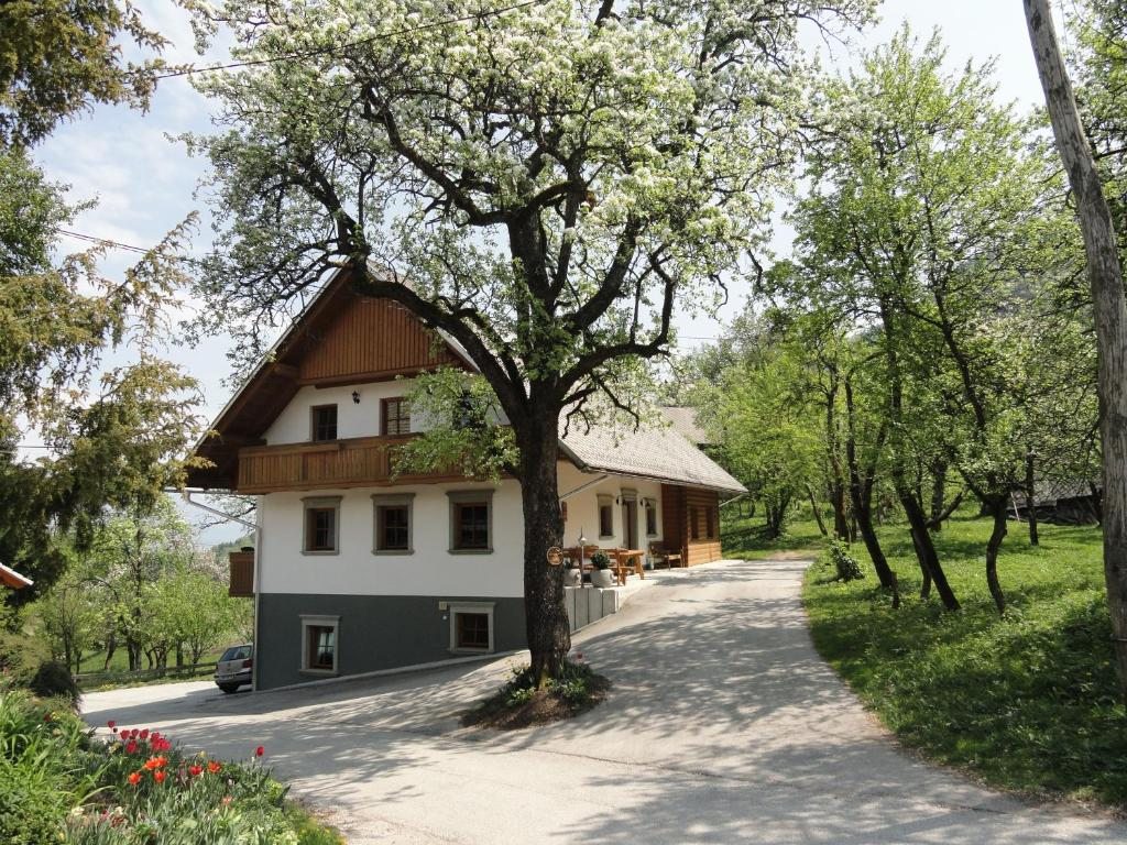 Отель Farm Stay Dolinar Krainer, Бохиньска-Бела