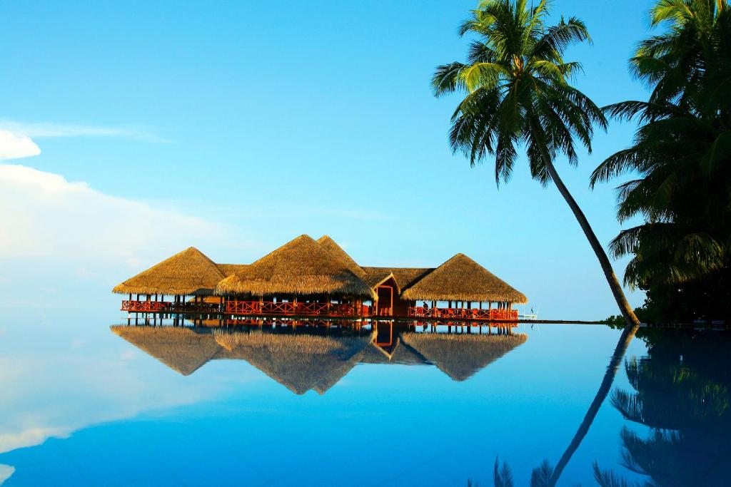 Medhufushi Island Resort, Мафури
