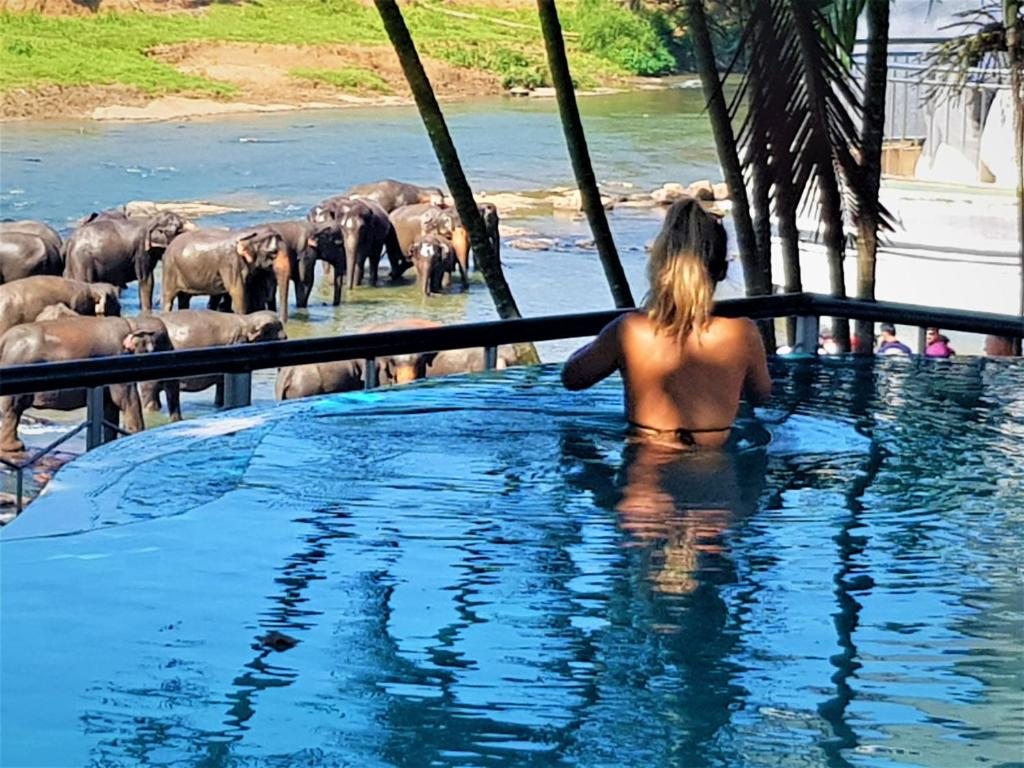 Hotel Elephant Park, Пиннавела
