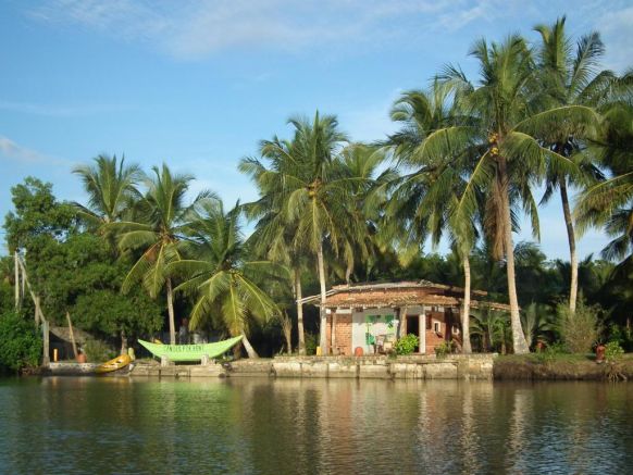 Отель Coconut Island, Тангалла