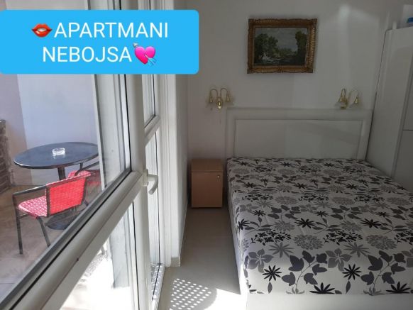 Апартаменты Apartments Nebojša, Сокобаня