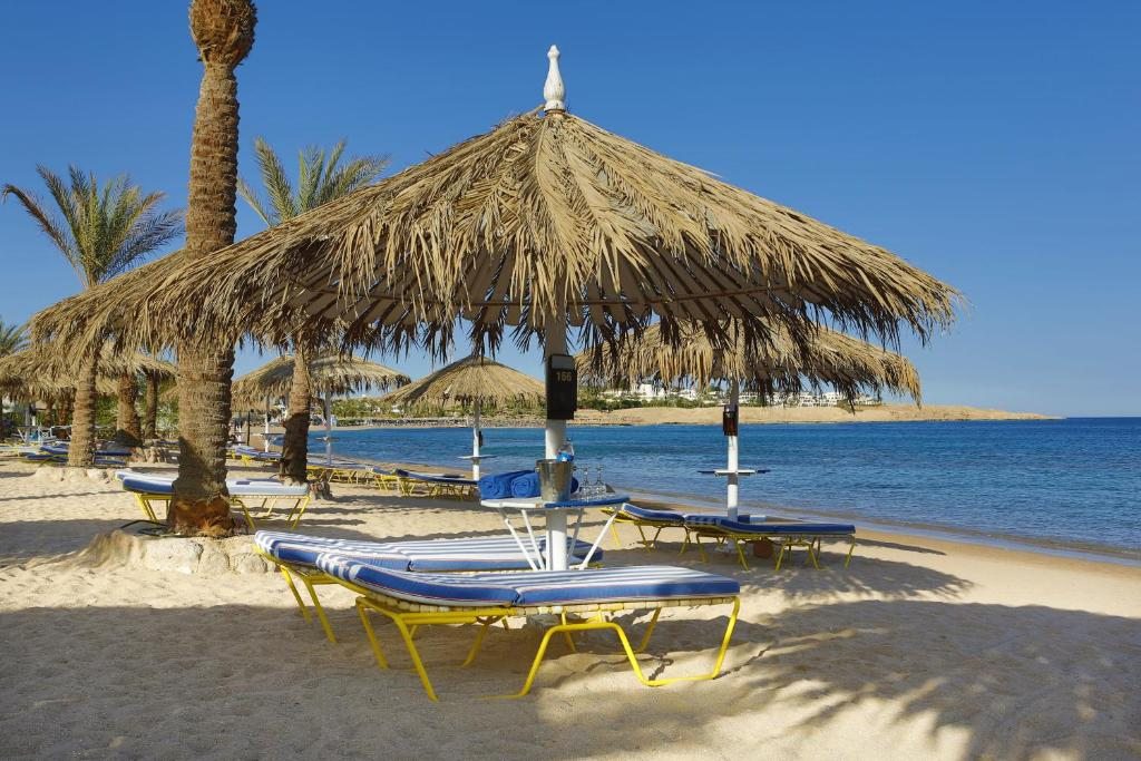 Fayrouz Resort Sharm El Sheikh, Шарм-эль-Шейх
