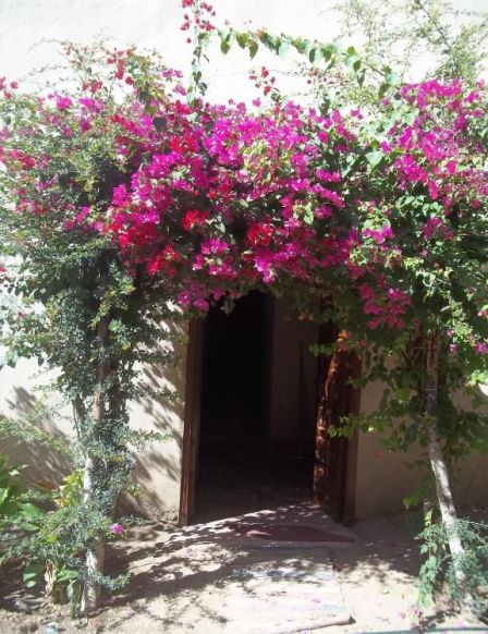 Nour El Gourna