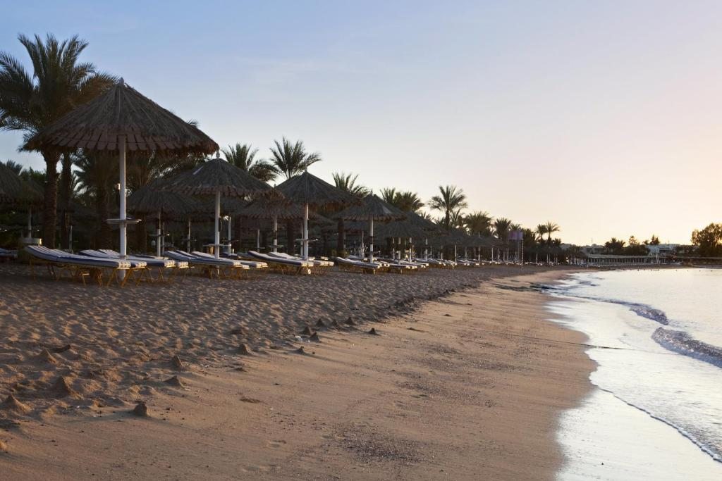 Sharm Dreams Resort, Шарм-эль-Шейх