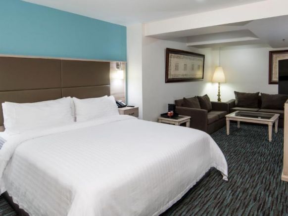 Holiday Inn Hotel & Suites Mexico Zona Rosa