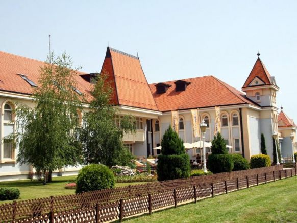 Hotel Prezident, Палич