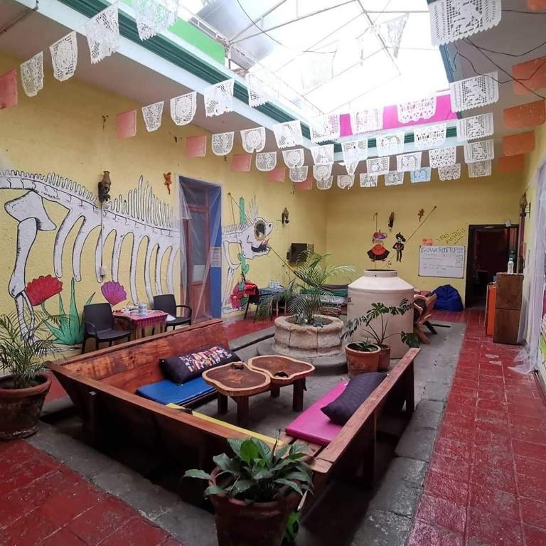 Iguana Hostel Oaxaca, Оахака-де-Хуарес