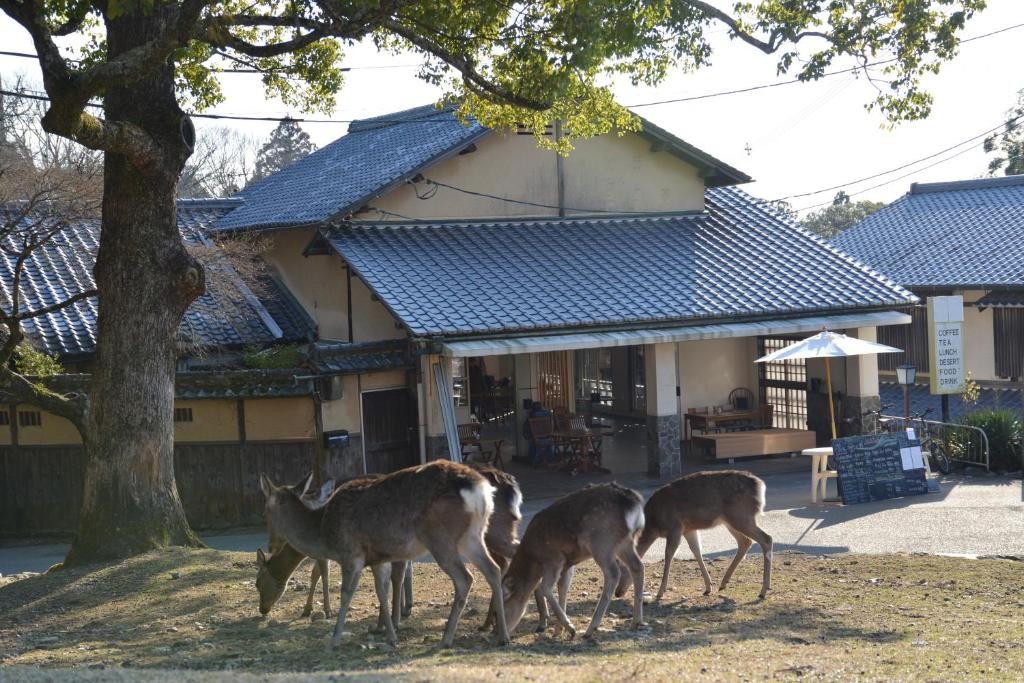 The Deer Park Inn, Нара