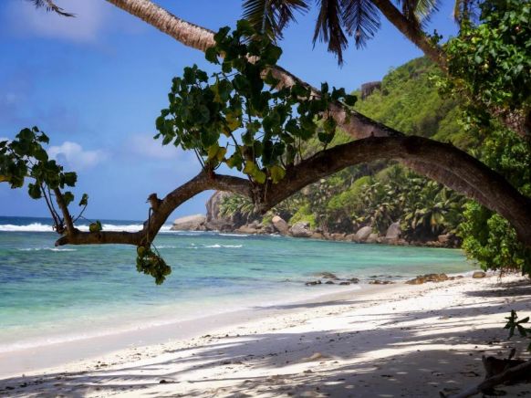 Surfers Beach Self Catering Chalets, Такамака