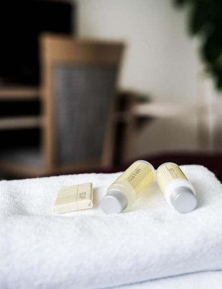 B&B HOTEL UNIVERSITY BRNO