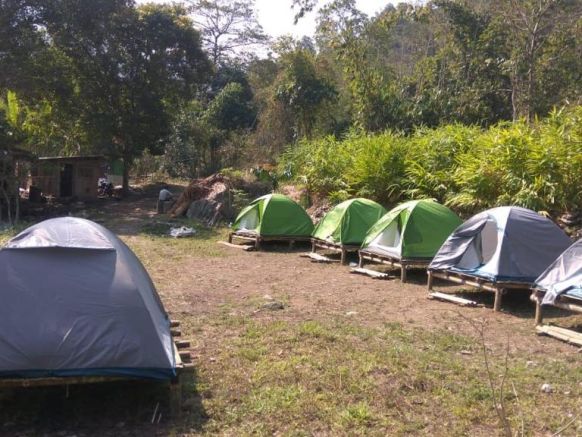Darjeeling Nature Camp, Дарджилинг