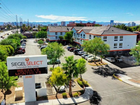 Siegel Select Flamingo