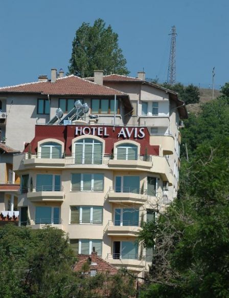Hotel Avis