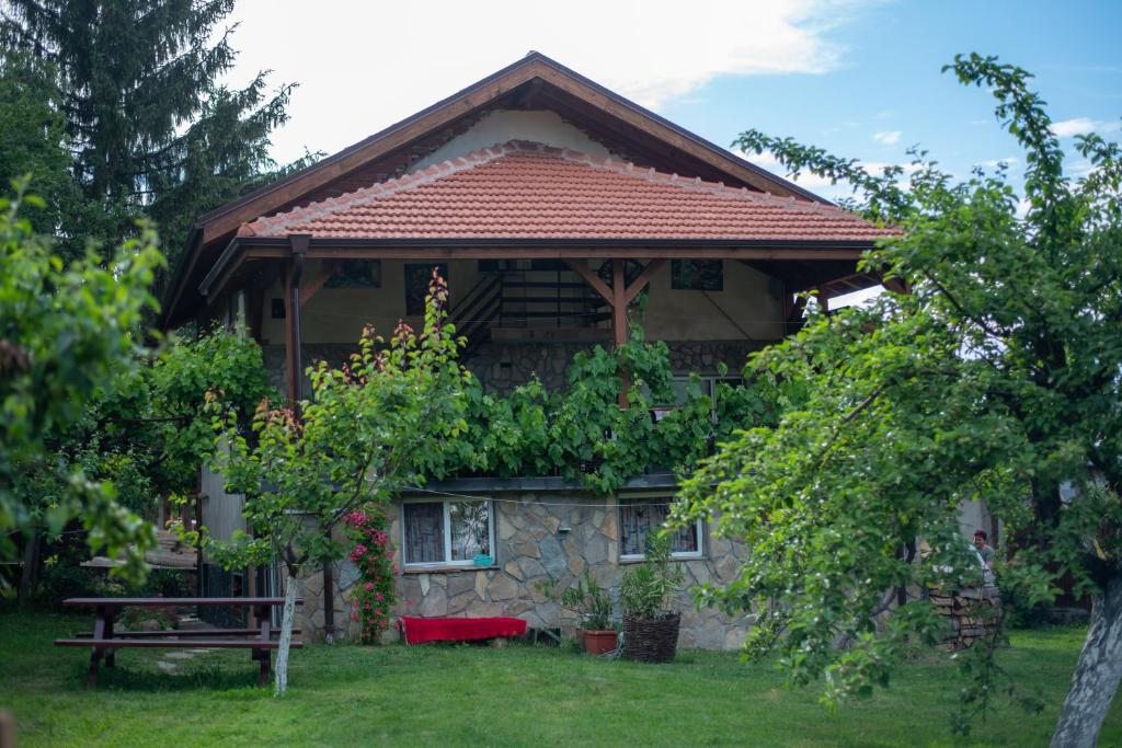 Danailovi Guest House, Сапарева-Баня