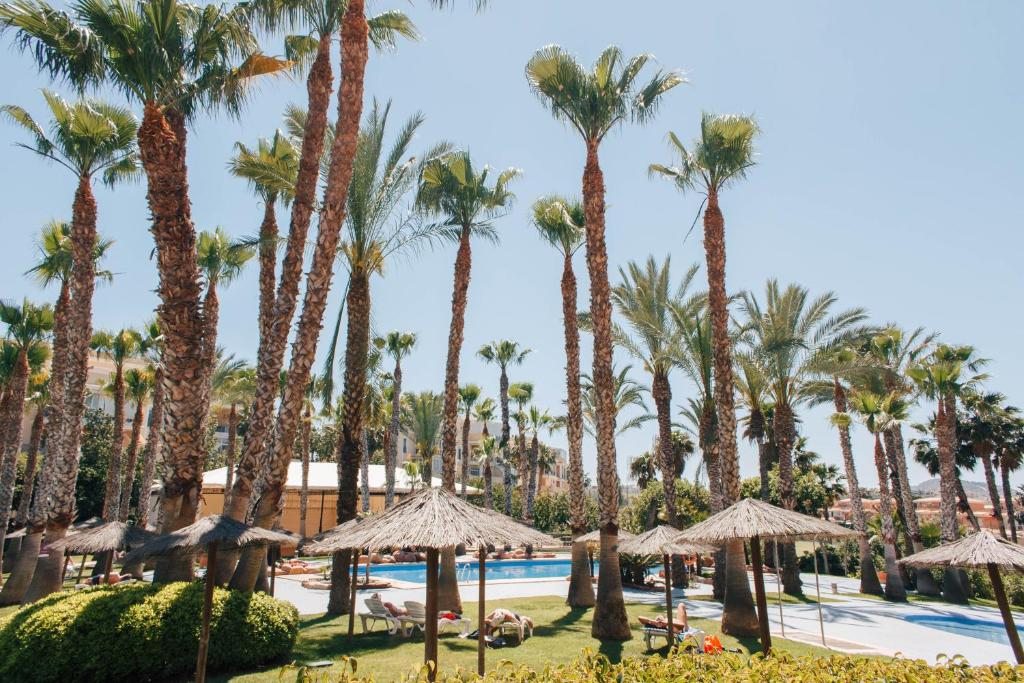 Hotel Alicante Golf, Аликанте