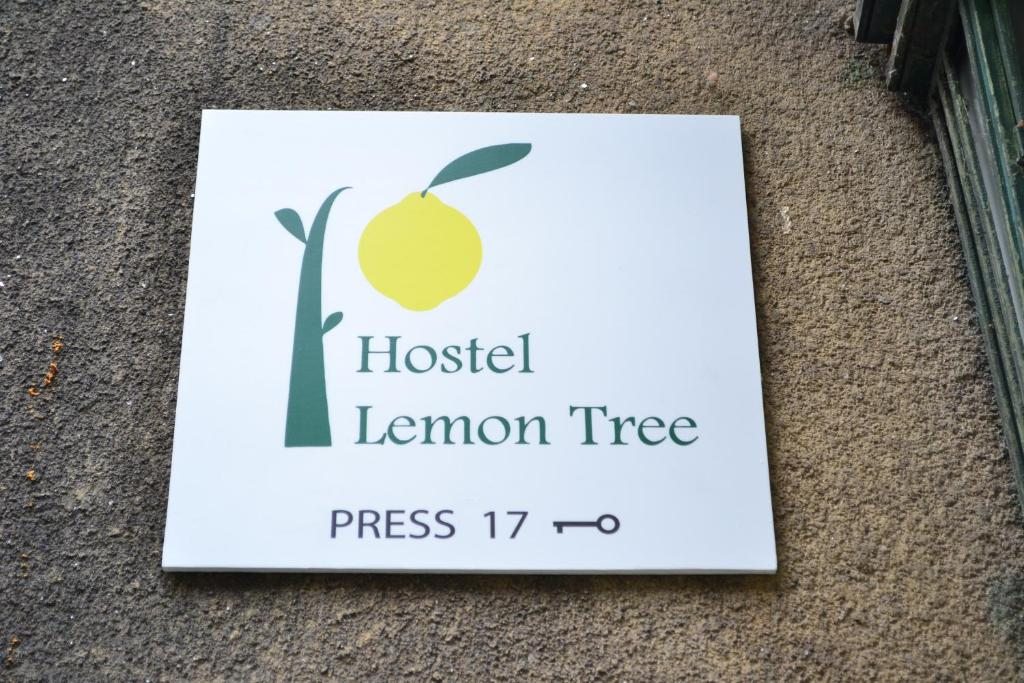 Lemon Tree Hostel, Краков
