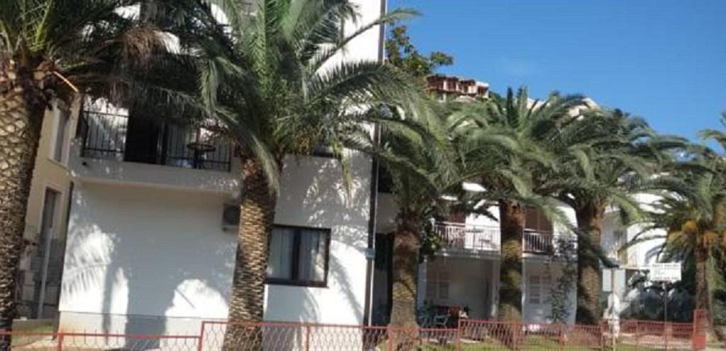 Studio Apartments 6 Palmi, Будва