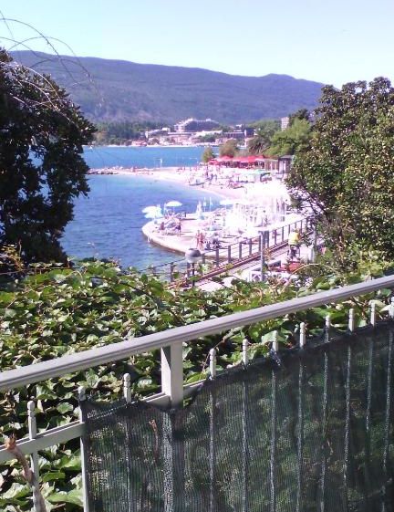 Apartments Vila Kamelija
