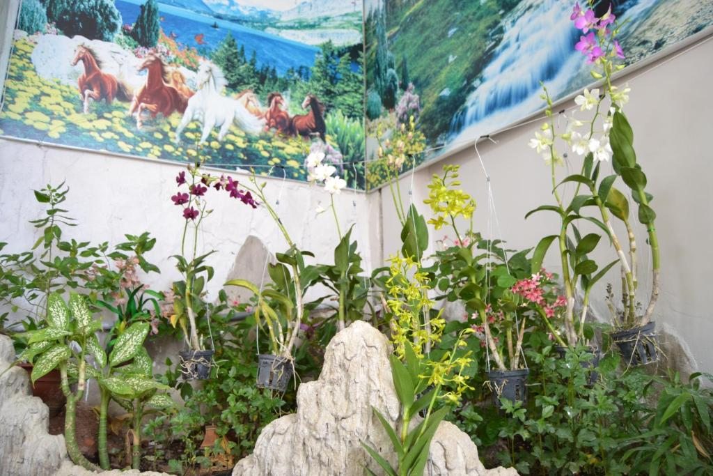 Binh An Backpacker Guesthouse, Вунгтау