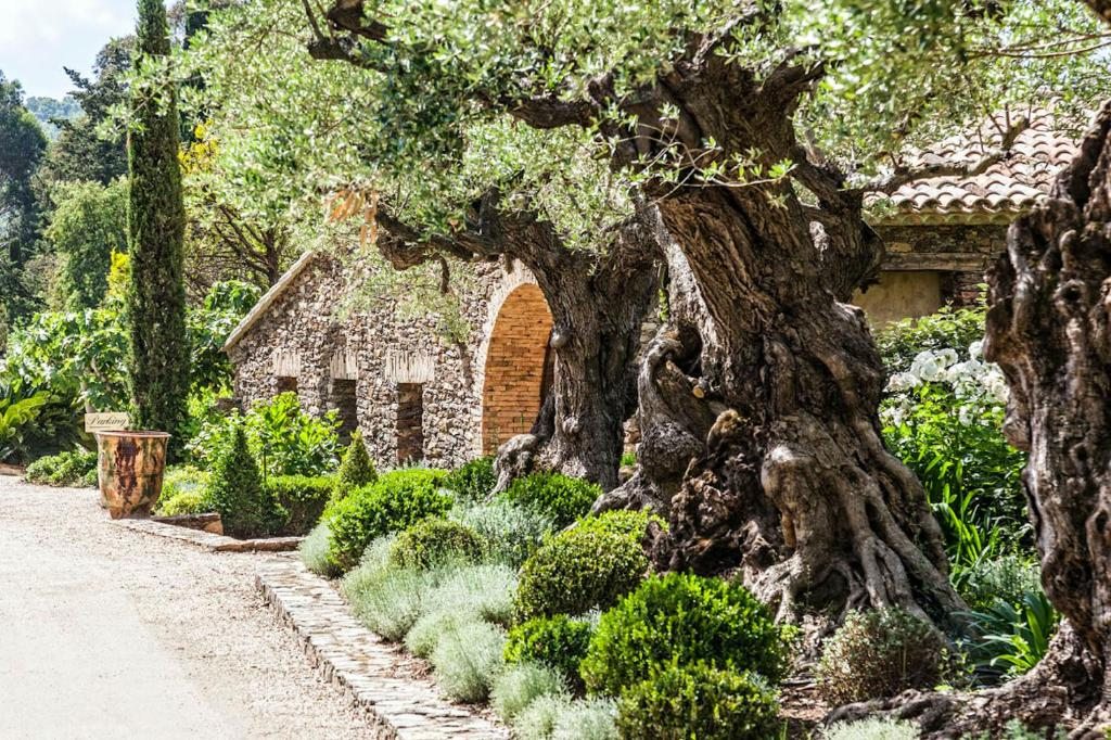 Domaine Les Mésanges, Сен-Тропе