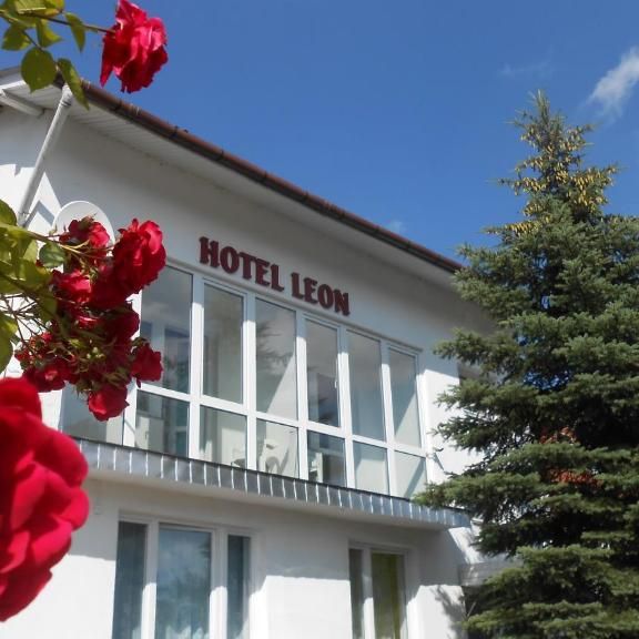 Отель Hotel Leon, Бяла-Подляска