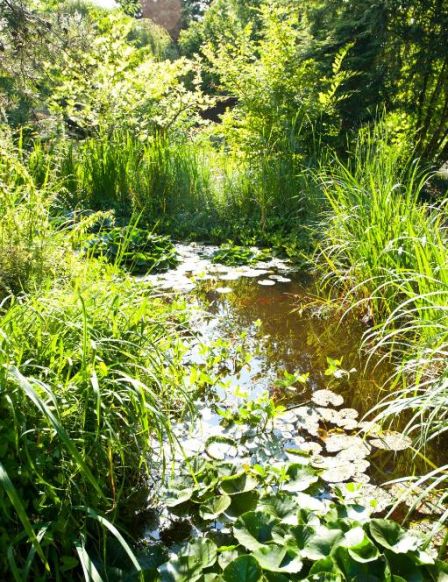 Hotel Käferstein garni