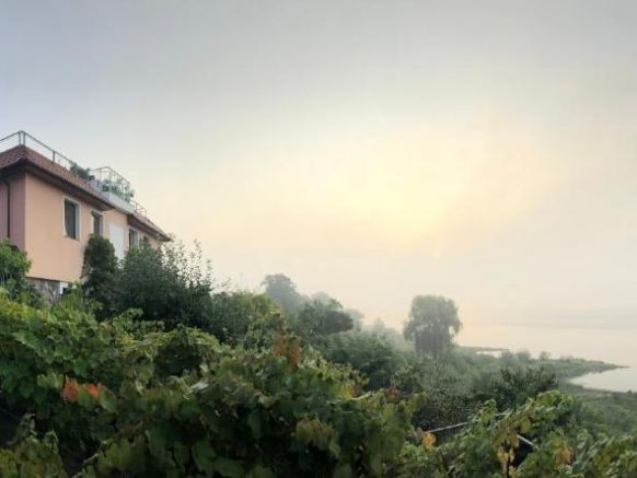 Pensjonat Winnica, Торунь