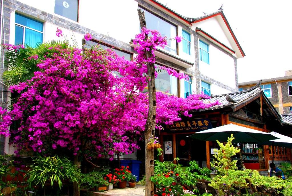 International Youth Hostel Lijiang, Лицзян