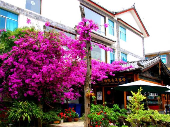 International Youth Hostel Lijiang